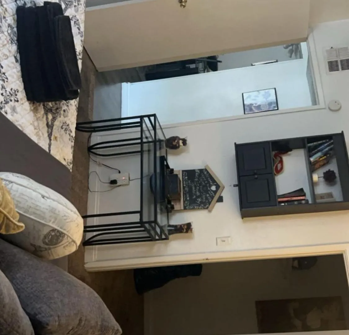 Entire Apartment 1Br & 1Ba Las Vegas